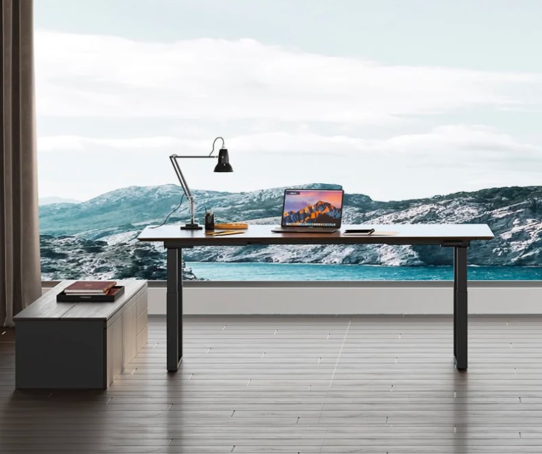 FlexiSpot new arrivals FlexiSpot Odin 4Leg Standing Desk FlexiSpot